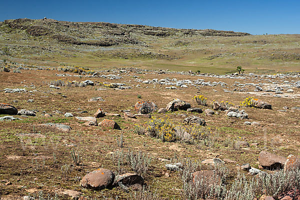 Aethiopien (Ethiopia)