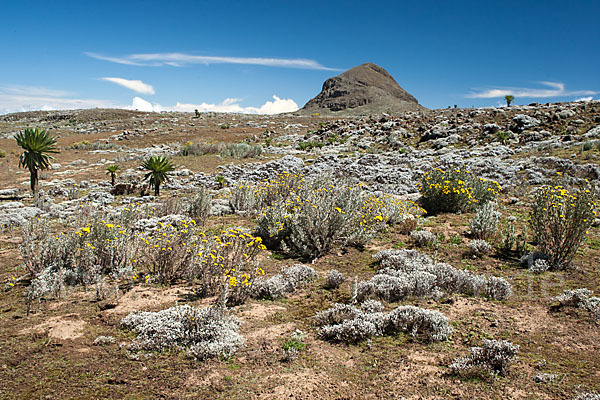 Aethiopien (Ethiopia)