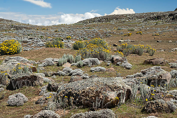 Aethiopien (Ethiopia)