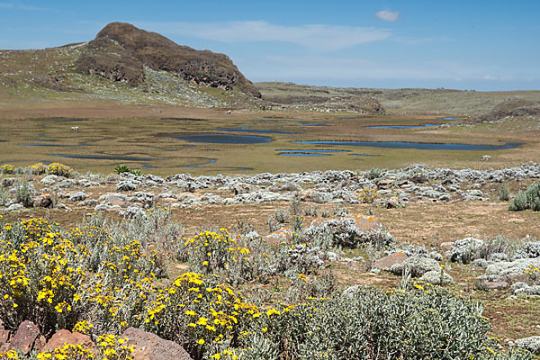 Aethiopien (Ethiopia)