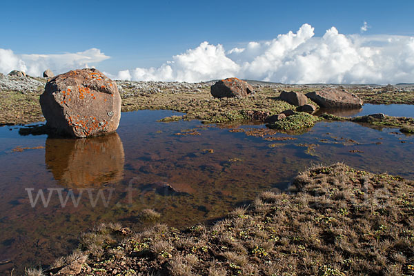 Aethiopien (Ethiopia)