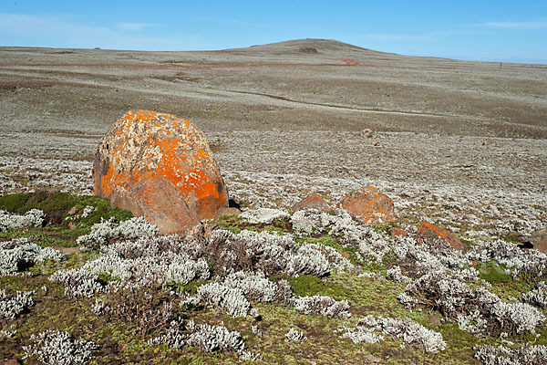 Aethiopien (Ethiopia)