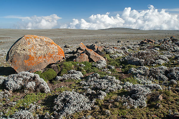 Aethiopien (Ethiopia)