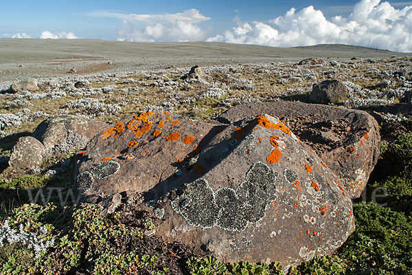 Aethiopien (Ethiopia)