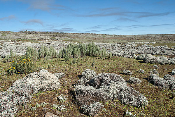 Aethiopien (Ethiopia)