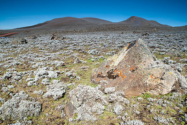 Aethiopien (Ethiopia)