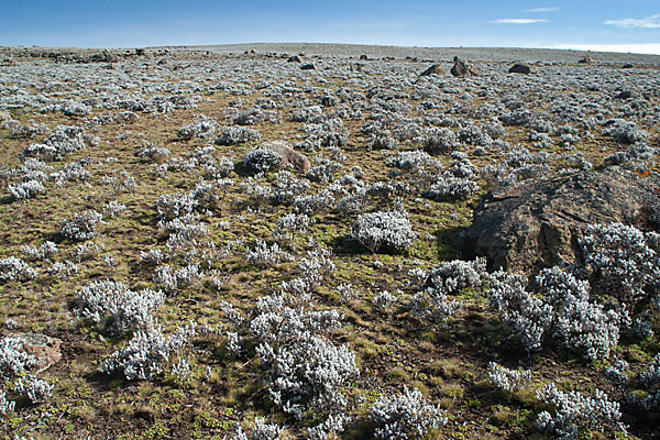 Aethiopien (Ethiopia)