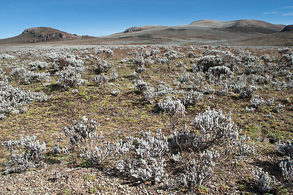 Aethiopien (Ethiopia)