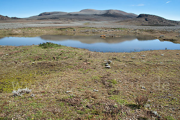 Aethiopien (Ethiopia)