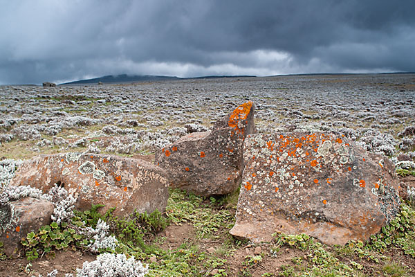 Aethiopien (Ethiopia)