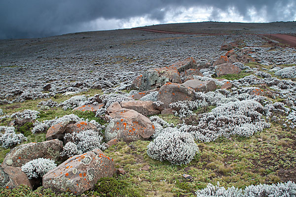 Aethiopien (Ethiopia)