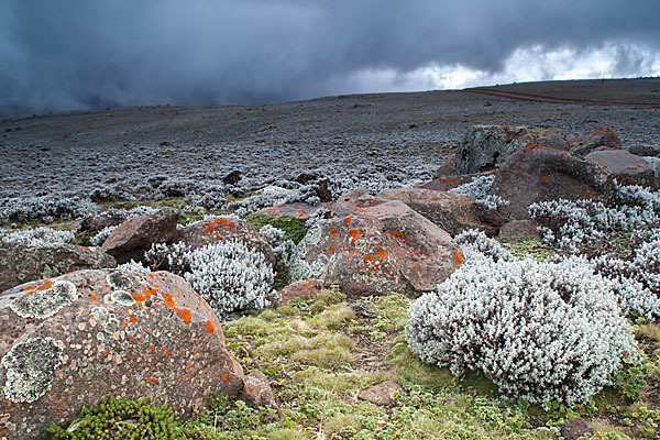 Aethiopien (Ethiopia)