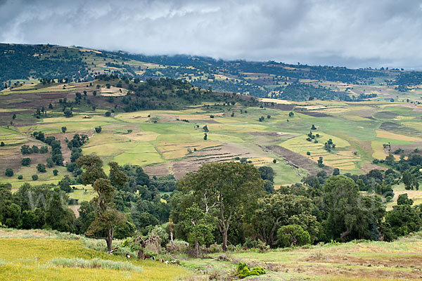 Aethiopien (Ethiopia)