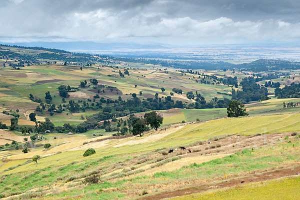 Aethiopien (Ethiopia)