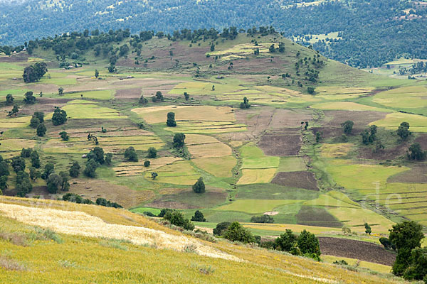 Aethiopien (Ethiopia)