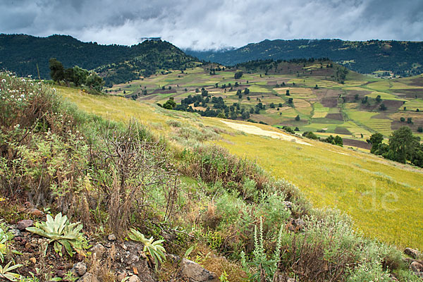 Aethiopien (Ethiopia)