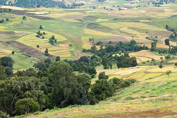 Aethiopien (Ethiopia)