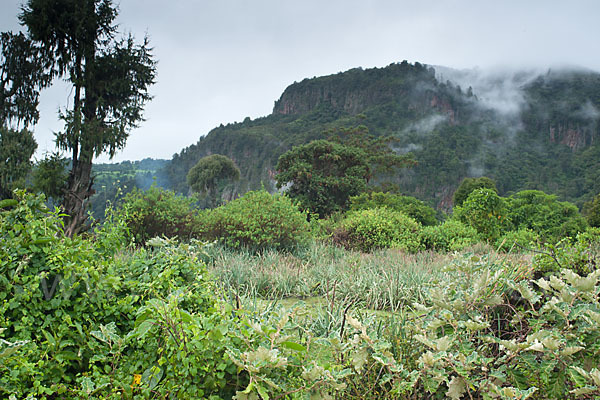 Aethiopien (Ethiopia)