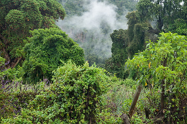 Aethiopien (Ethiopia)