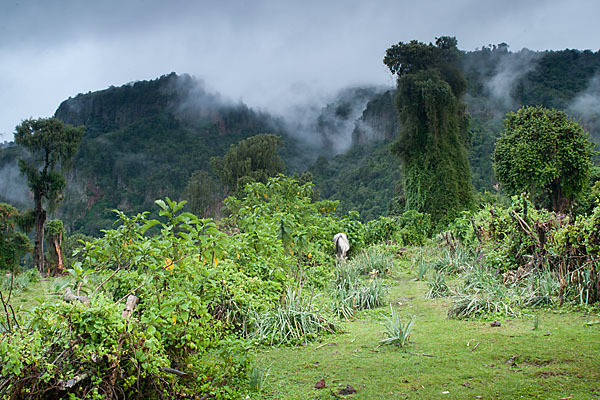 Aethiopien (Ethiopia)