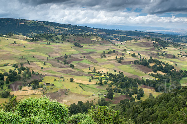 Aethiopien (Ethiopia)