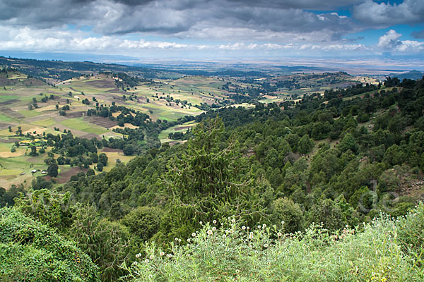 Aethiopien (Ethiopia)