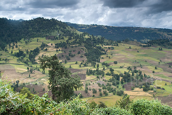 Aethiopien (Ethiopia)