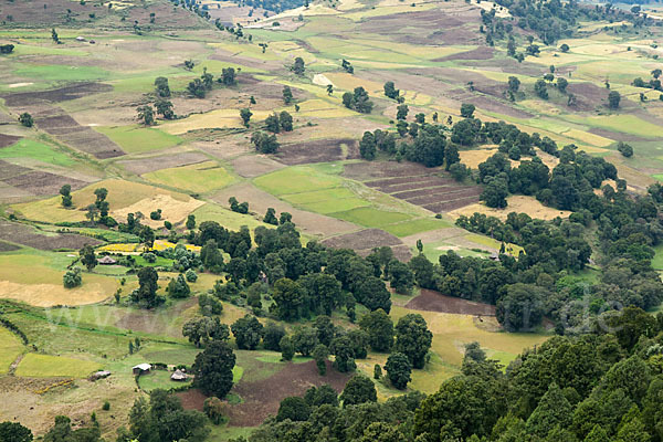 Aethiopien (Ethiopia)