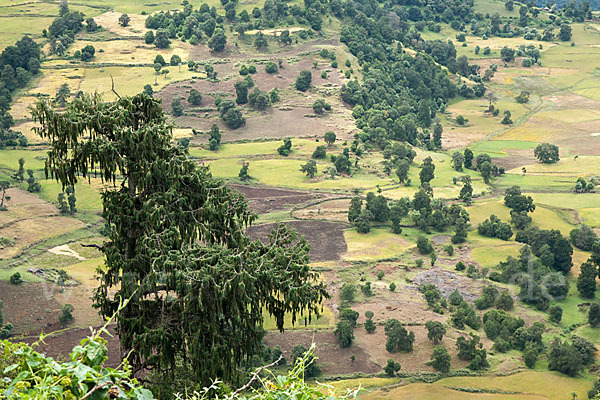 Aethiopien (Ethiopia)