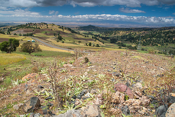 Aethiopien (Ethiopia)