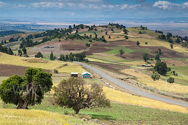 Aethiopien (Ethiopia)