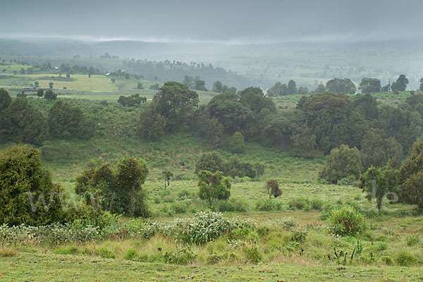 Aethiopien (Ethiopia)