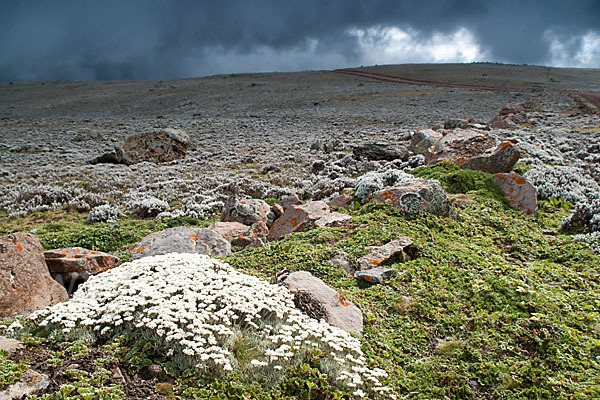 Aethiopien (Ethiopia)