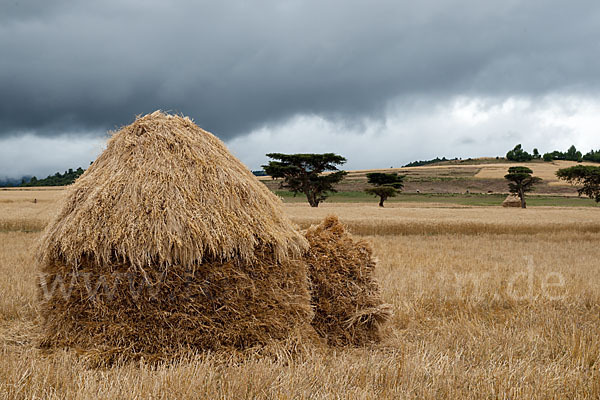 Aethiopien (Ethiopia)