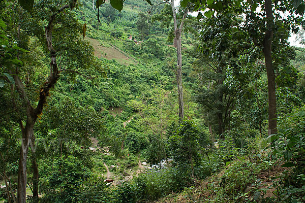 Aethiopien (Ethiopia)