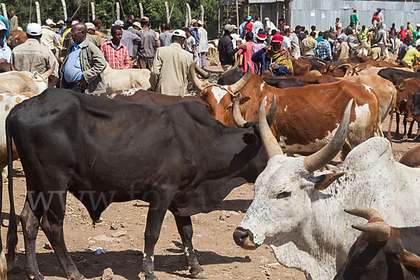 Aethiopien (Ethiopia)