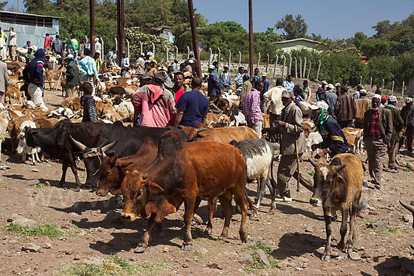 Aethiopien (Ethiopia)