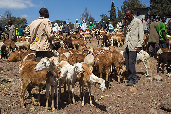 Aethiopien (Ethiopia)