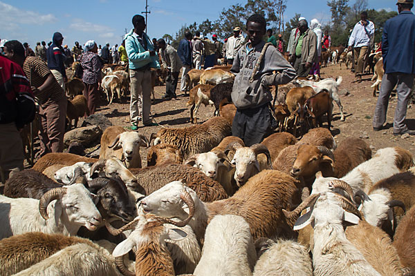 Aethiopien (Ethiopia)