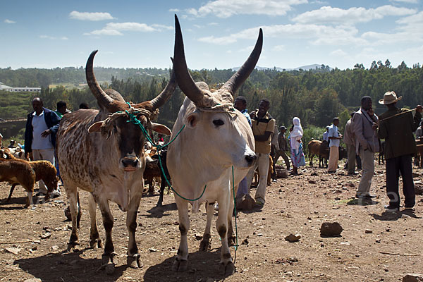 Aethiopien (Ethiopia)