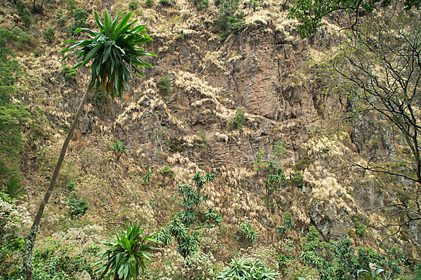 Aethiopien (Ethiopia)