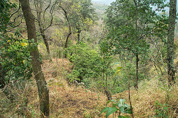 Aethiopien (Ethiopia)