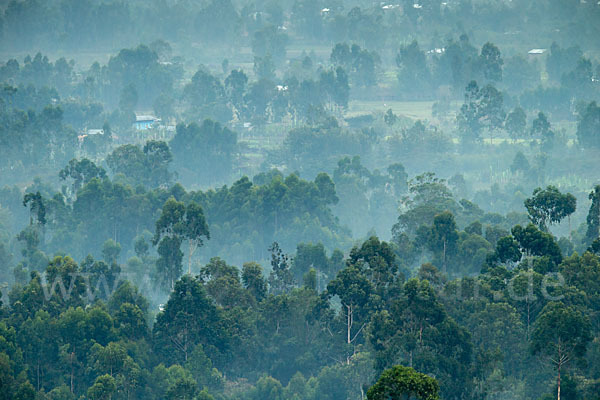 Aethiopien (Ethiopia)