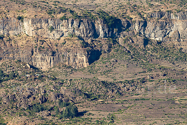 Aethiopien (Ethiopia)