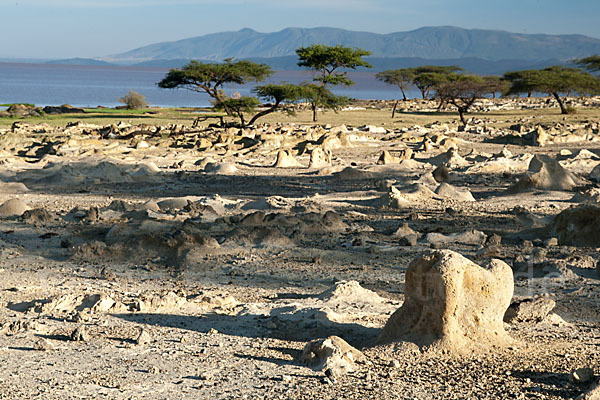 Aethiopien (Ethiopia)