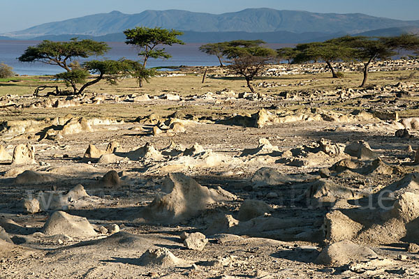 Aethiopien (Ethiopia)