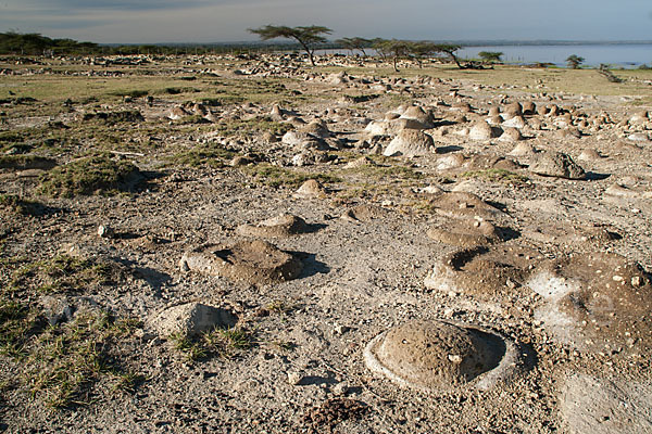 Aethiopien (Ethiopia)