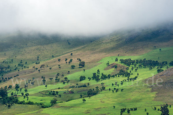 Aethiopien (Ethiopia)