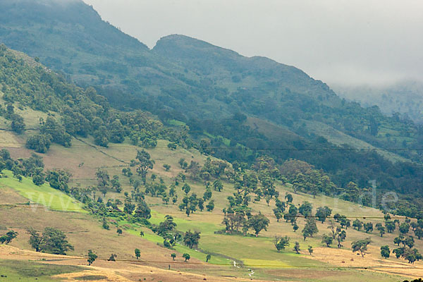 Aethiopien (Ethiopia)