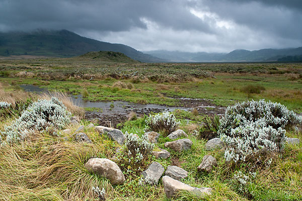 Aethiopien (Ethiopia)